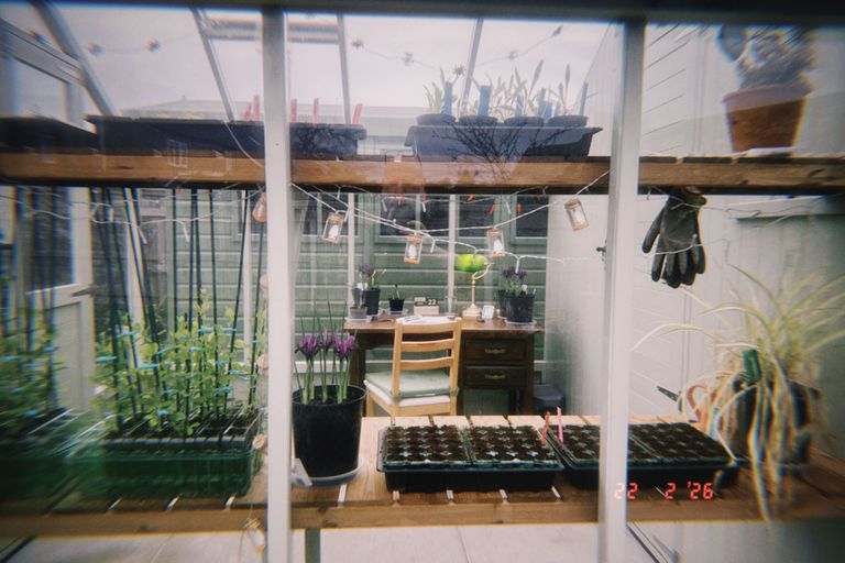 Artwork from project Studio and Life